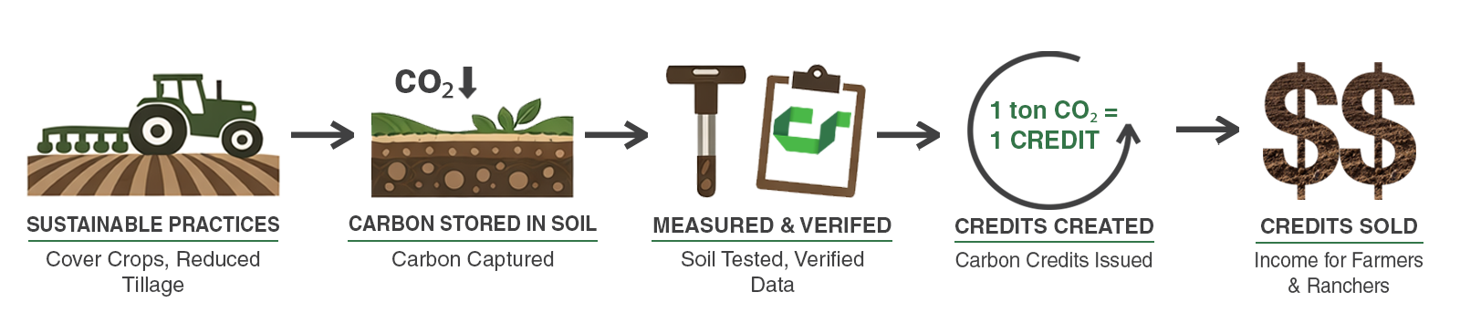 carbon graphic flat-1 carbon graphic flat-1
